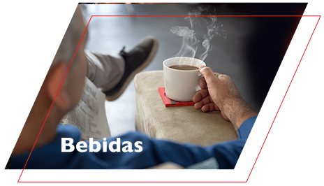 Bebidas